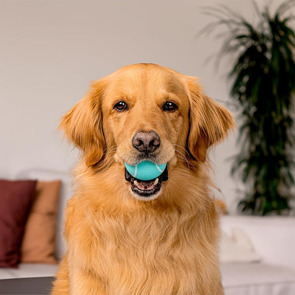 Squeaky Chew Ball for Dogs | Engaging All-Natural Peanut Butter Scented Toy for Medium Dogs up to 50Lbs | Squeak, Fetch, and Play