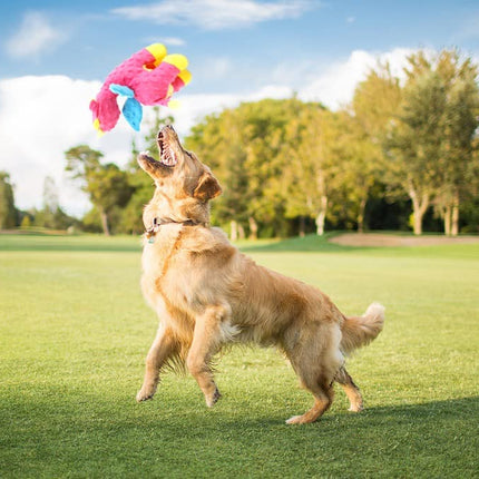 Dog Toys, Puppy Toys with Crinkle Paper Cute Squeaky Dog Toys Dog Chew Toys for Small Medium Large Dogs