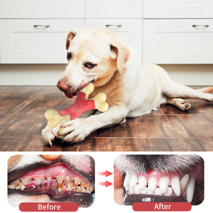 Nylon Bone and Rubber Extreme Tough Large Dog Chew Toy, Double Bend Bone, Cleans Teeth, White Color Bacon Flavour, for Medium Large Dogs